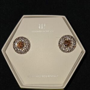 Elegant Silver and Gold Stud Earrings